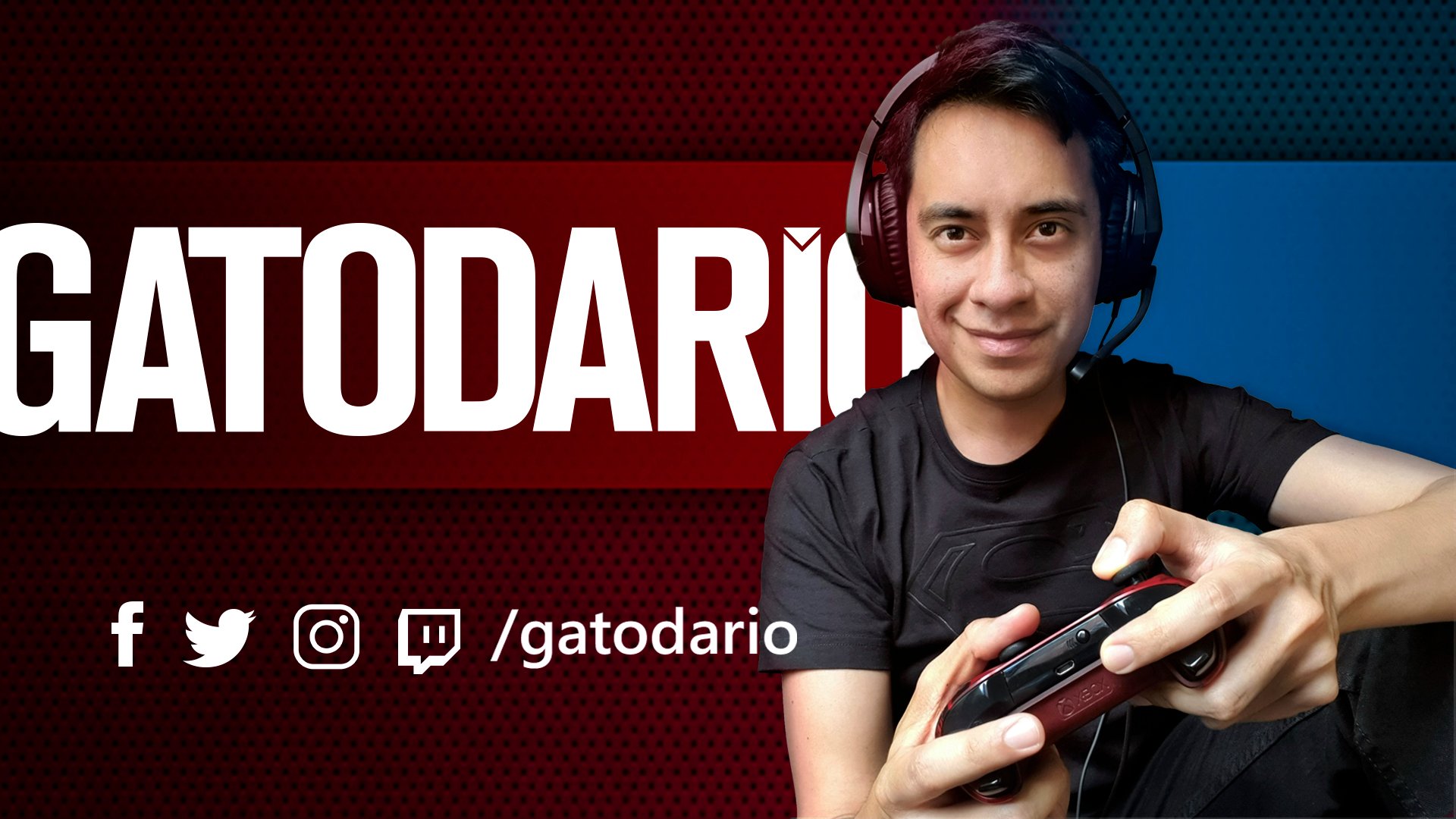 Gatodario banner